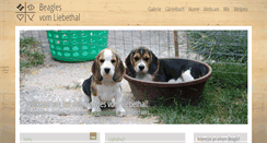 Desktop Screenshot of beagles-vom-liebethal.de